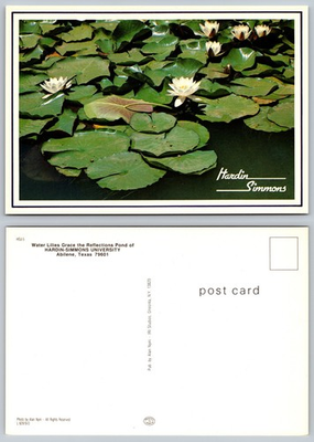 #ad Continental Hardin Simmons Reflections Pond Abilene Texas Postcard $1.99