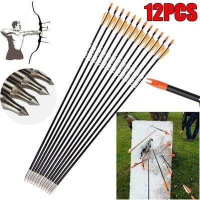 12PCS 31'' Fiberglass Arrows SP700 Archery Target Practice Compound Recurve Bows