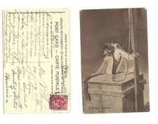 1910  MALAYA SINGAPORE Monkey in Captivity PC sent to USA PAQUEBOT