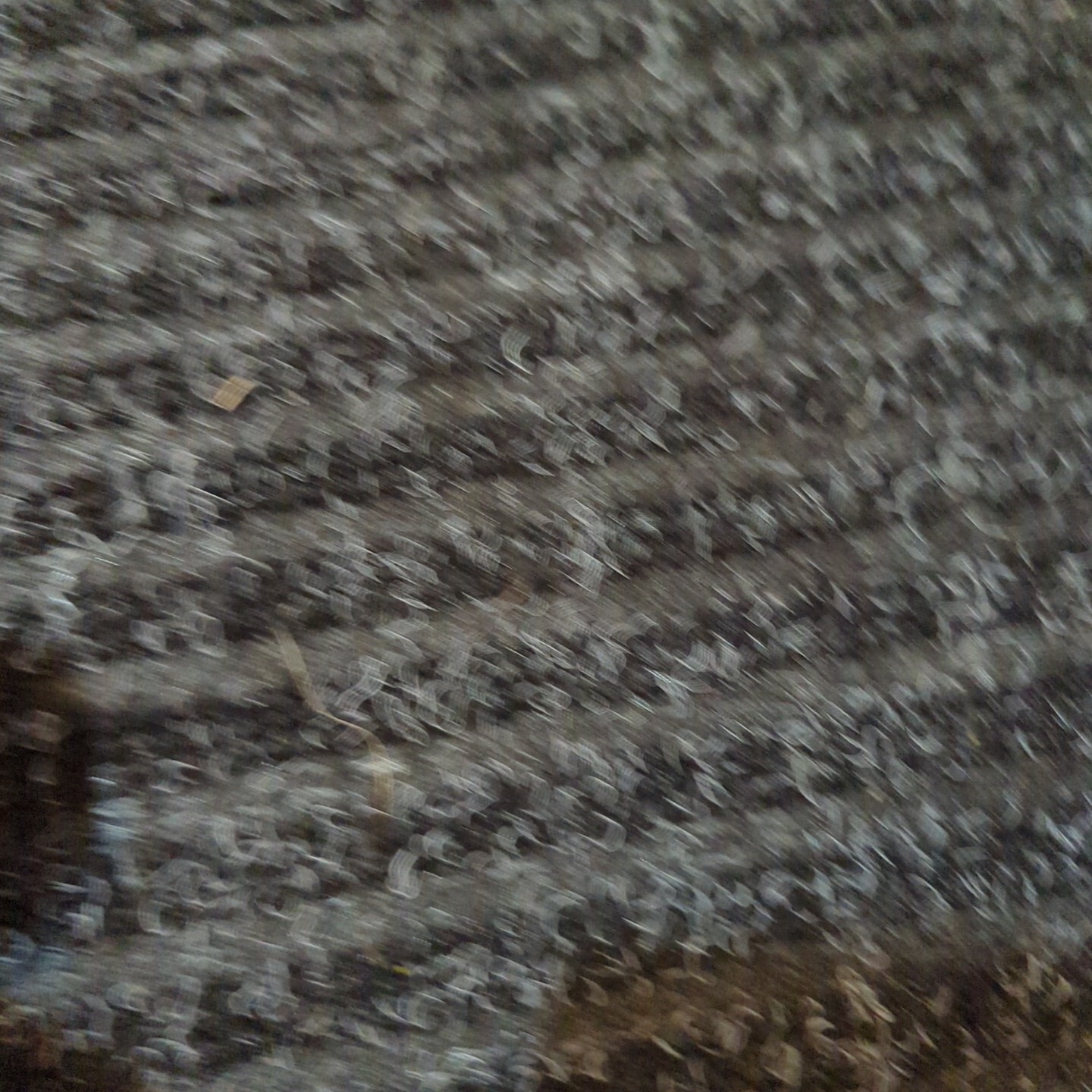 Picture 3 of 4