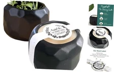 The Growing Candle, from Flame to Flower Scented, Non-Toxic, Emma Lemongrass