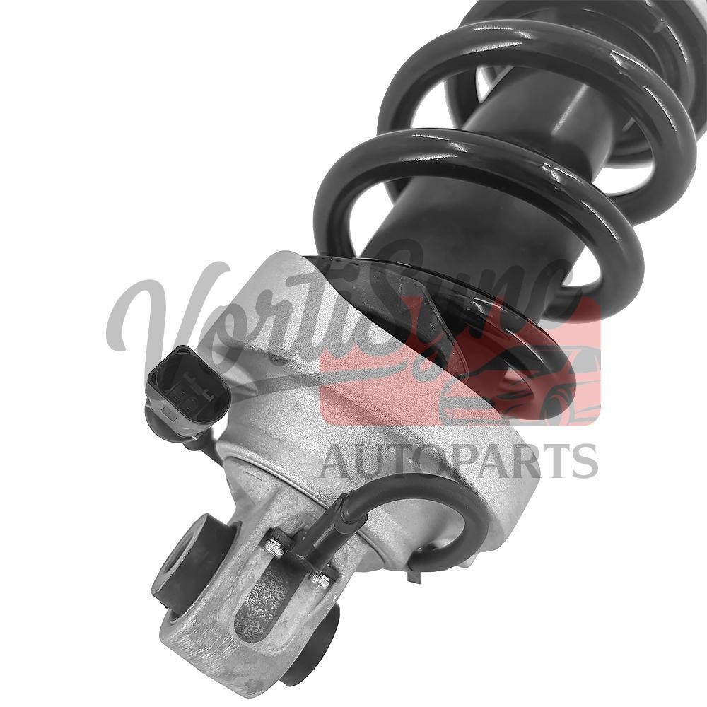 Audi R8 2017-2020 FRONT+LEFT Shock absorber P/N 420412019S