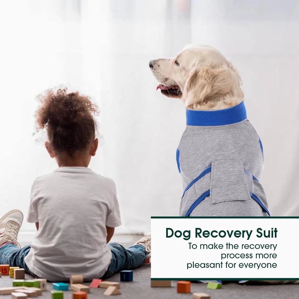 Kuoser Dog Surgery Recovery Suit, Adjustable Dog Post Surgery Body Suit, Grey XS - Image 2 of 4