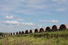 Photo:Madison County Iowa 2016 Hay Rolls Field Landscape Row of Bales