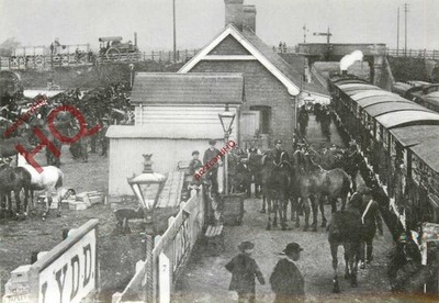 Ansichtskarte - LYDD STATION, 1909, ANKUNFT DER KÖNIGLICHEN ARTILLERIE PFERDE (REPRO)