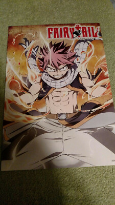 Fairy Tail Poster 16.5x11.5