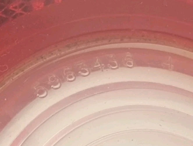 71-72 CHEVELLE SS OEM LH DRIVER o RH PASAJERO LADO LUZ TRASERA CENTRAL 5963436-4 Foto 4 de 4