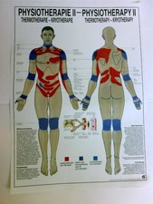 Physiotherapie II - Physiotherapy II (2): Poster/ Wandtafel Thermotherapie Kryo