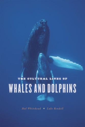Hal Whitehead Luke Rendell The Cultural Lives of Whales and Dolphins ...