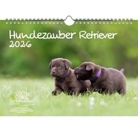 Hundezauber Retriever Din A4 Kalender FüR 2026 Welpen Und Hunde - Seelenzauber