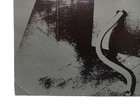 Picture 6 of 8