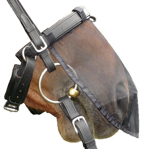 Culotte D'équitation Tuff Rider Femme – Taille 36 – Noire – Protection Et Confort
