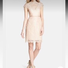 NWT Nordstrom Jenny Yoo Short Lace Dress in Blush size 2
