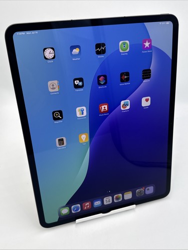 Apple iPad Pro 13" M4 1TB Wi-Fi + 5G A2926 Space Schwarz 100% Batt 3 Zyklen - VL2R