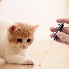 Keychain Red Laser Pointer Pen 650nm With White LED Torch Fun Pet Cat Dog Toy