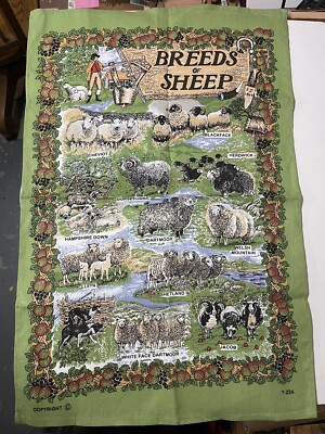 Breeds Of Sheep Tea Towel From the United Kingdom 100% Cottons 20 x 30 Inches