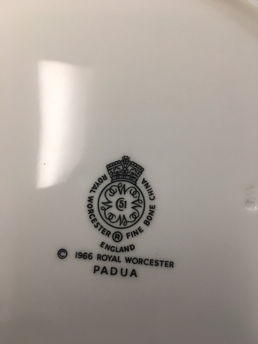 (12) Royal Worcester 'Padua' 10.625 Inch DINNER PLATES w/Black Scrolls & Urns - Picture 12 of 12