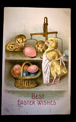 Dressed Chick~Clerk in Apron~Weighs Eggs on Scale~Easter Fantasy Postcard~m721