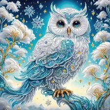 Special Shape Diamond Art Kits for 12 inches by 12 inches, DZ847