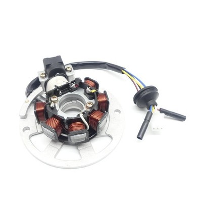 Lichtmaschine für Motowell Generic ATU Explorer Keeway Jonway Beta Benelli