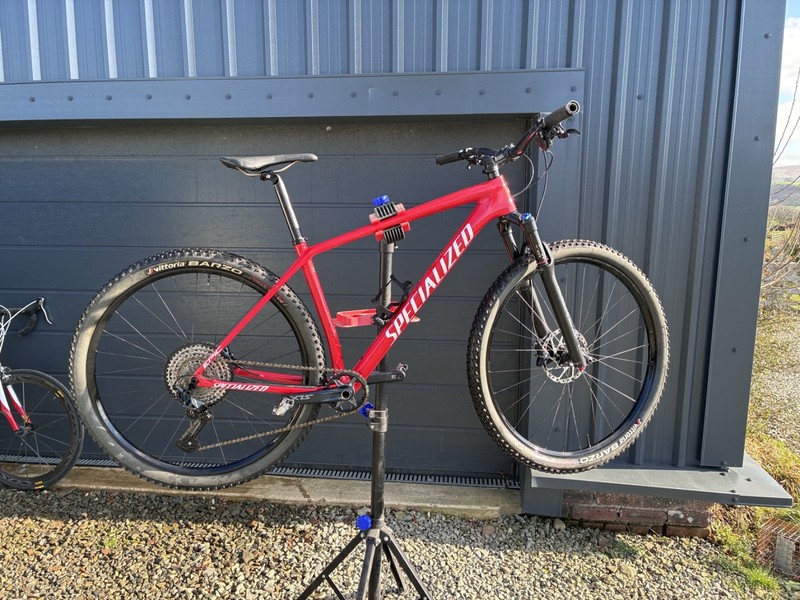 Specialized Epic Carbon Comp Hardtail 2021 - size large with 29er wheels