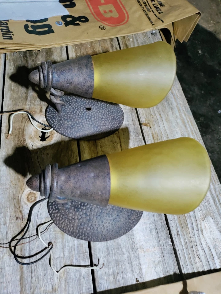 Par de luces de aplique de pared de hierro con pantallas de vidrio Calla Lilly Foto 3 de 4