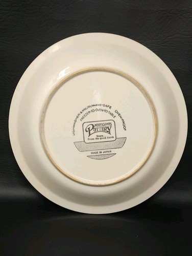 Vtg Mount Clemens Pottery Apple Pie Recipe Plate 10.5” Freezer2Oven2Plate Japan - Picture 4 of 7