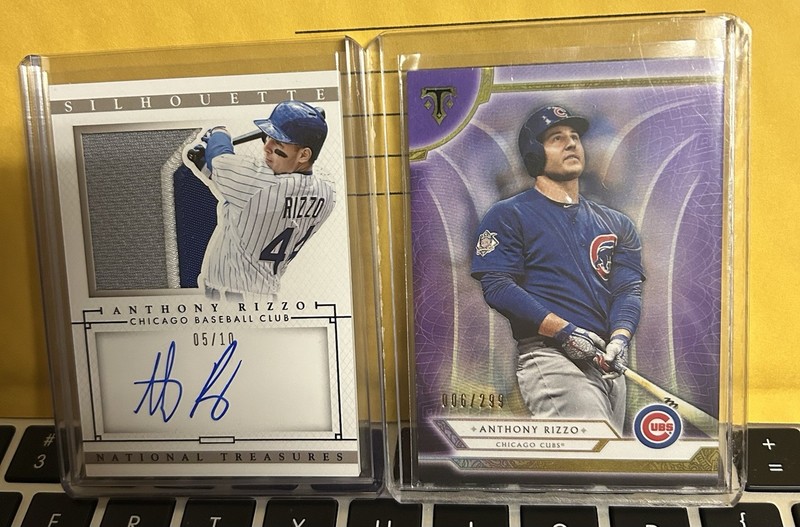 Anthony Rizzo 2014 National Treasures Silhouette Game Used Patch Auto /10 Cubs