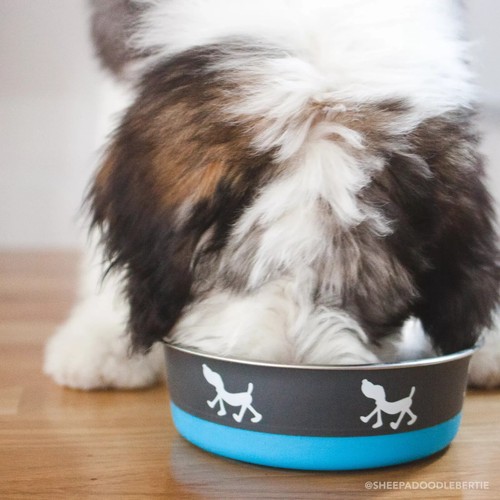 Maslow Design Series Non-Skid Pup Design Dog Bowls (Each Sold Separately) - Picture 2 of 6
