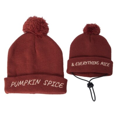 Matching Cat Small Dog Owner Beanie Toboggan Hat- Pumpkin Spice Cute  Fall FS
