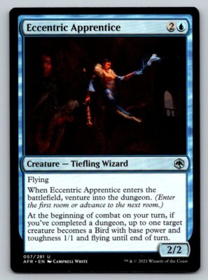 Eccentric Apprentice Adventures in the Forgotten Realms Regular