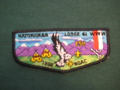Natokiokan 41 s24 flap OAE