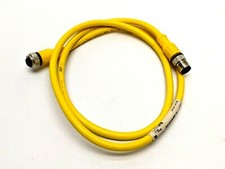 Turck RKC 4.4T-1-RSC 4.4T EuroFast Cable Assembly U5262