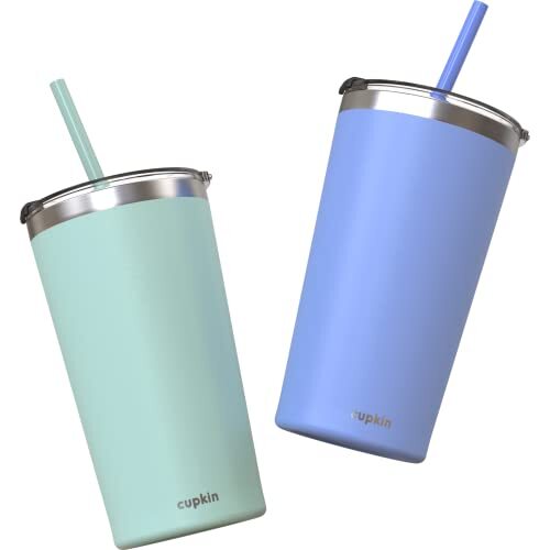 Stainless Steel Insulated Tumbler With Lid And Straw 20 Oz Water Bottle ...