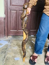 wooden walking stick hand carved snake wooden walking cane