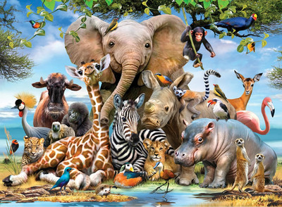 Puzzle - Africa Smile, 1000 Piece Jigsaw Puzzle, #1043