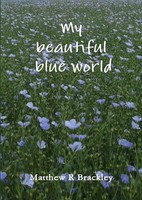 Matthew R Brackley | My Beautiful Blue World | Taschenbuch | Englisch (2014)