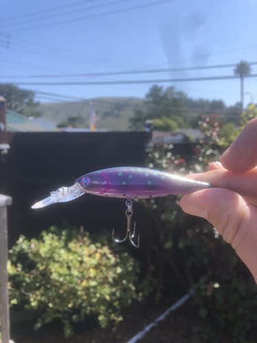 Custom Painted Jerkbait P78 Deep Diver VIOLET Trout - Picture 4 of 7