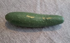 Vtg Play Cucumber Pretend Food Make Believe Realistic Prop