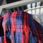 Bild 8 von 12