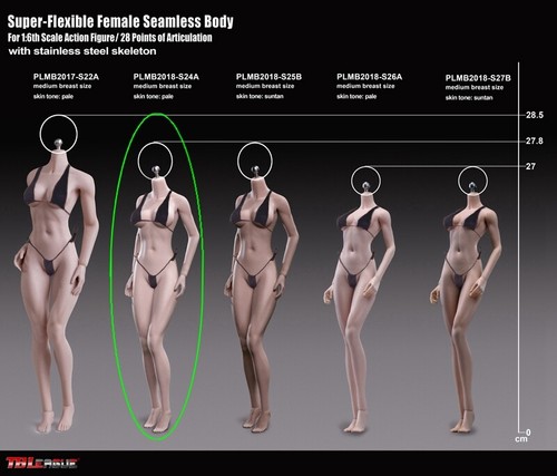 1/6 Female Body Anime Sexy Girl PVC Nude M Bust 12inch Action Figure PHICEN - Picture 4 of 5