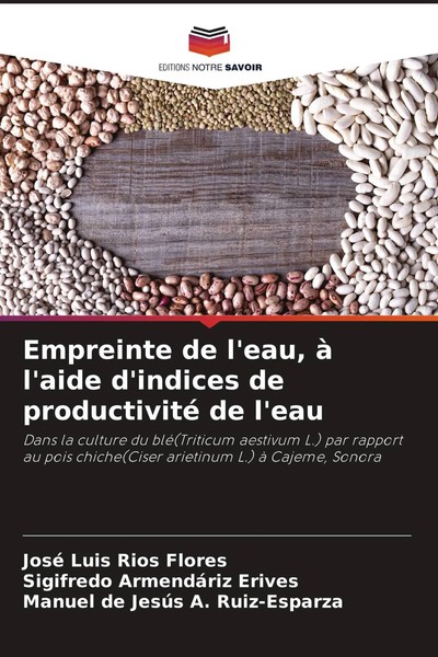 José Luis RíOs Flores (U. A.) | Empreinte De L'eau, à L'aide D'indices De...-image