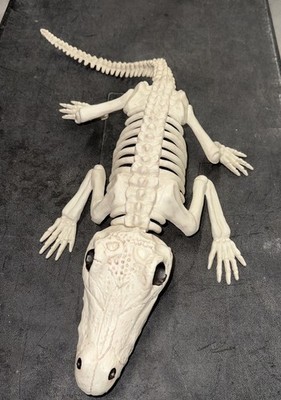 30  Alligator Crocodile Skeleton Decoration Halloween Museum Store Display Bones