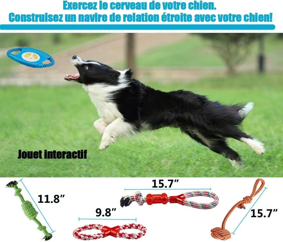 Hundespielzeug, Welpenspielzeug, Kauspielzeug, Kau-Spielzeug, interaktiv, Bau... - Bild 4 von 4