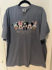 Comfort Colors Mickey And Co Disney T-shirt Size 2XL Classic Characters Blue