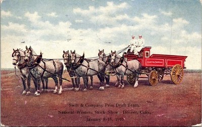Vintage Postcard Swift & Company Prize Draft Team Denver Colorado CO H5