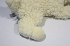 Bild 11 von 14