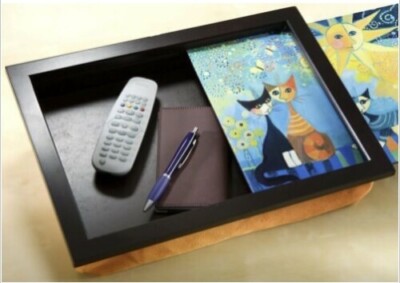 Rosina Wachtmeister Wenko tray-cushion knee tray. New items remaining stock