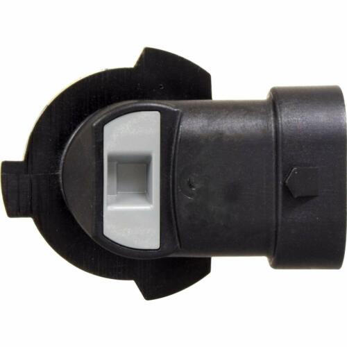 Sylvania Silverstar ZXE Gold 9005 HB3 65W Zwei Lampen Kopf Licht Doppel Träger - Bild 6 von 12