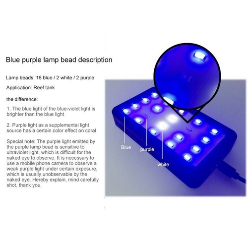 1L Mini Aquarium Komplett set Dekoration mit LED Beleuchtung Pumpe & Filter - Bild 10 von 24